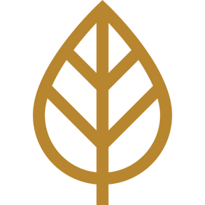 Natural Ingredients Focus
